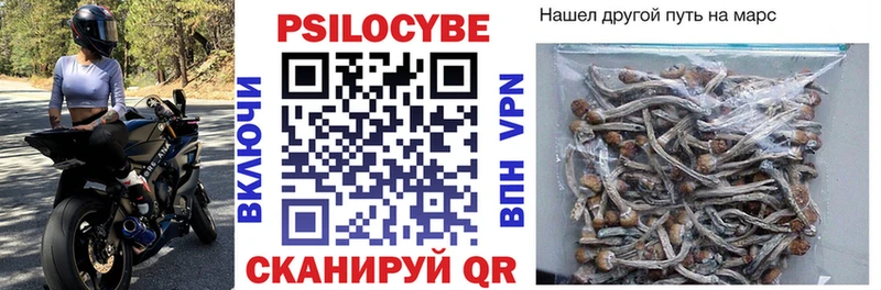 Галлюциногенные грибы мухоморы  ОМГ ОМГ ссылка  Пестово  где найти наркотики 