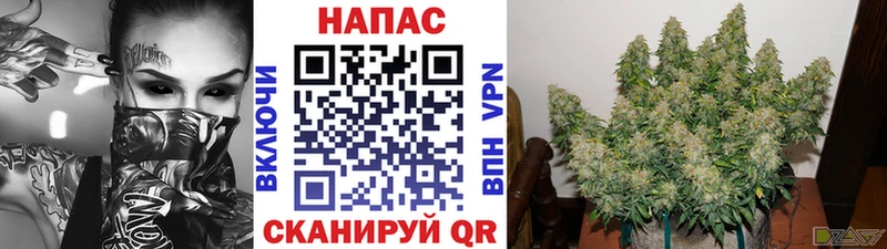 Бошки Шишки White Widow  Пестово 